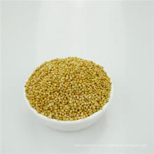Высокое качество желтый белый метла кукурузы просо/птица еда